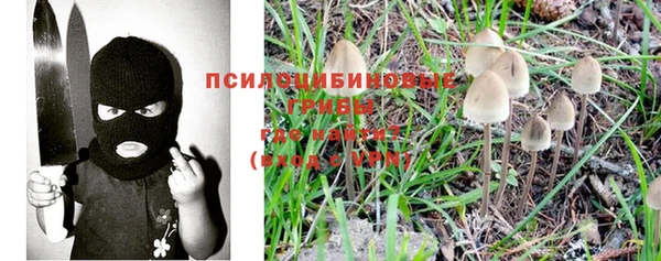 хмурый Магас