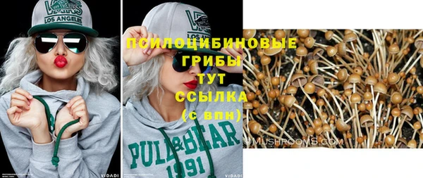 тгк Магадан