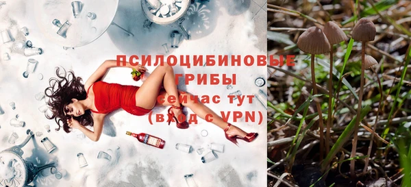 эйфоретик Абаза